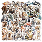 50张水彩写实动物涂鸦贴纸水杯手机冰箱装饰贴画创意行李箱贴防水