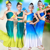 儿童傣族舞蹈演出服包臀鱼尾裙幼儿孔雀舞表演服装女童傣族练习裙