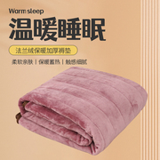 外贸日本尼达利法兰绒保暖吸湿发热褥垫加厚软垫褥子防滑冬季垫被