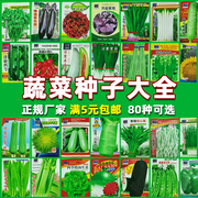 蔬菜种孑菜种子大全四季播阳台盆栽春季园艺白菜香菜草莓生菜菜籽