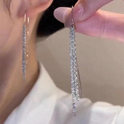 纯银针满天星流苏耳环，2024长款轻奢耳环小众设计感耳饰女
