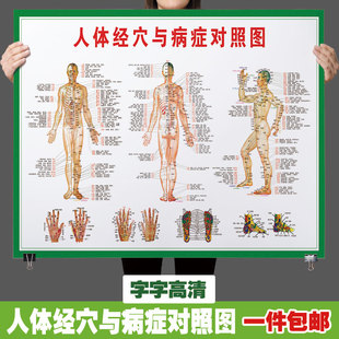 中医养生人体经络穴位图大挂图全身高清穴位艾灸推拿背部针灸2132