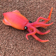 仿真海洋动物模型大王乌贼八爪鱼章鱼安康鱼鱿鱼软胶儿童解压玩具