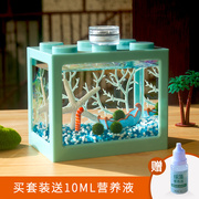 幸福海藻球marimo创意礼物微景观桌面卡通治愈系水培小植物