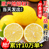 四川安岳黄柠檬(黄柠檬)9斤新鲜水果奶茶店专用皮薄，大果非香水柠檬无10籽