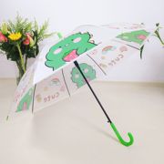 创意小清新poe磨砂透明雨伞，可爱学生伞，8骨长柄自动透明伞创意