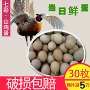 七彩山鸡蛋山东农家散养天然绿色，新鲜土鸡蛋营养宝宝辅笨鸡蛋30枚