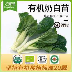 东升农场 有机奶白苗新鲜小白菜苗火锅食材 广州时令蔬菜配送250g