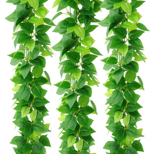 仿真藤条绿萝叶装饰假树叶绿藤藤蔓，塑料花藤水，管道遮挡空调绿叶花