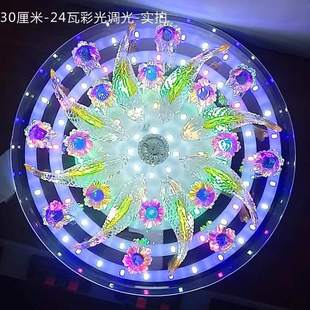 2021走廊灯LED过道灯玄关灯圆形客厅灯七彩水晶吸顶灯创意鱼