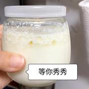 开菲尔菌种非雪莲藏灵菇自制酸奶发酵豆浆椰浆，首次可做两三百毫升