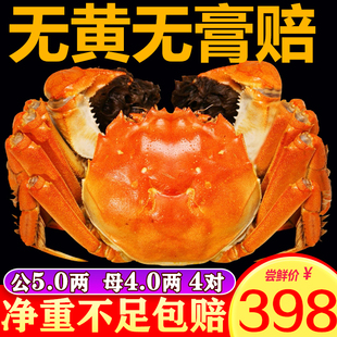 活蟹湖中明珠大闸蟹鲜活5两特大公螃蟹超大4两母蟹礼盒装8只