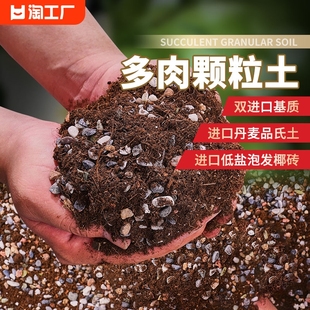 多肉土专用颗粒营养土植物泥炭，种植土铺面，石叶插纯土壤矿物通用