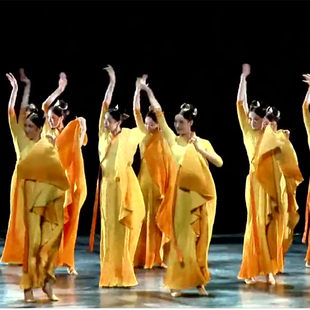 古典舞身韵舞蹈服飘逸中国风舞台演出从来银杏不负秋民族舞蹈服装