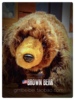 出口美国单！外贸原单大棕熊 仿真动物儿童生日礼物泰迪熊 卡通熊