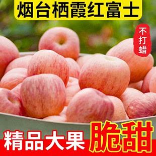 正宗山东烟台苹果栖霞红富士，当季新鲜水果脆甜多汁，一级条纹果整箱