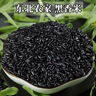 东北黑米黑香米糙米农家自产黑大米粗粮饭五谷杂粮粥健身主食5斤