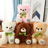 绿色领结熊公仔毛绒玩具熊泰迪熊玩偶抱抱熊兔毛小熊婚庆布娃娃