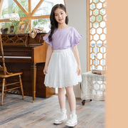 女童裙套装 2024夏韩版童装公主T恤短袖蕾丝半身裙裤两件套中大童