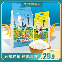 逸知鲜五常长粒香5kg当季新米东北大米五常大米稻花香粳米10斤