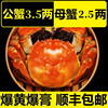 大闸蟹公3.5两母2.5两各5只螃蟹鲜活特大超大