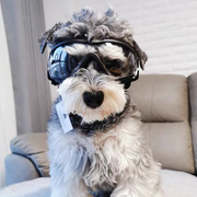 狗狗护目镜比熊泰迪法斗网红宠物防风眼镜狗装饰防风镜墨镜滑雪镜