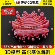 3d模型3dmaxfbx医学生物结构，解剖高尔基体真核细胞管腔分泌囊泡
