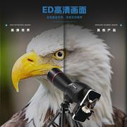 25-75x60观鸟镜高倍高清微光夜视仪支架式拍照录像直播观鸟