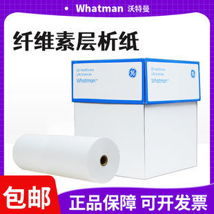 英国Whatman3MM色谱纸层析滤纸3030-704 27cm*1mWB电泳层析实验纸