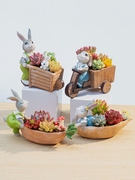 小白兔花盆创意三轮车可爱兔子，卡通多肉盆栽，植物肉肉组合送人礼物