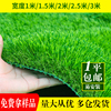 草坪仿真人造塑料假草地垫毯户外庭院人工围挡草皮绿色幼儿园铺垫