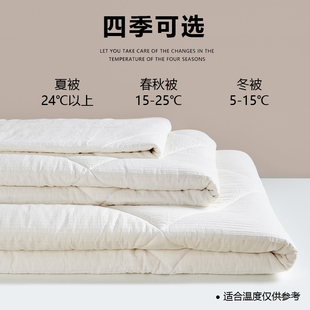 新疆一级长绒棉被冬被纯棉花春秋被子被芯薄全棉空调被夏凉被