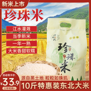 东北珍珠米2023年大米新米10斤圆粒黑龙江软糯寿司米煮粥清香