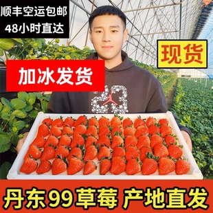 丹东99大红颜草莓3斤孕妇牛奶草梅礼盒，新鲜当季水果草莓整箱