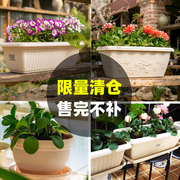 爱丽思iris加厚塑料长方形花，盆栽爱丽丝花盆，阳台种菜种花