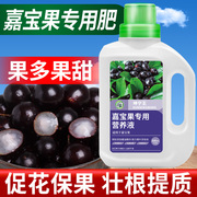 坤宁王嘉宝果营养液专用肥料珍宝果小硕挂果树葡萄复合颗粒缓释肥
