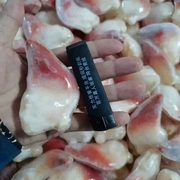 国产北极贝刺身L号一盒28-30只海鲜刺身食材日料寿司