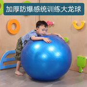 幼儿园室内儿童感统训练器材，大龙球家用宝宝，体能玩瑜伽婴儿康复