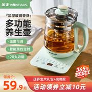 金正养生壶家用多功能煮茶器电煎壶小型养生杯烧茶壶