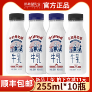 新希望今日鲜奶铺255ml*10瓶整箱儿童，营养早餐网红纯牛奶冷鲜牛奶