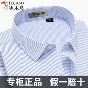 啄木鸟蓝色条纹衬衫男士，短袖长袖夏季商务正装职业中青年棉白衬衣