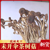 井冈山野生茶树菇干货磨菇农家，香菇干食用菌500g江西特产