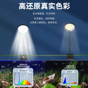 鱼缸灯led水草灯全光谱爆藻防水灯小鱼缸照明灯观赏专用迷你夹灯
