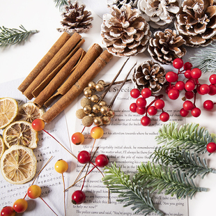圣诞节装饰材料天然松果干花浆果金色橡果圣诞树DIY配件仿真树枝