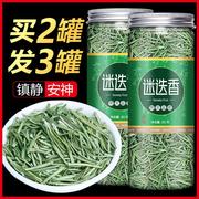 买2发3迷迭香茶叶天然泡水泡茶喝的饮品提神醒脑茶解困上班族