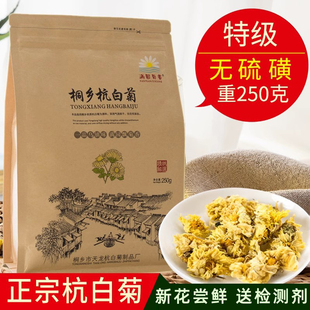 菊花茶特级正宗桐乡杭白菊，白菊新花250g花草，茶散装菊花