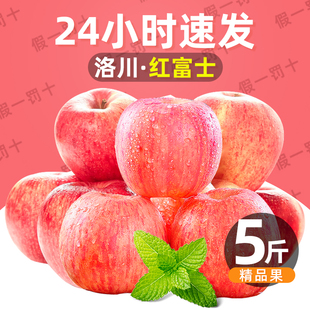 陕西洛川红富士，苹果2.5kg单果重240g+水果，新鲜脆甜平果整箱