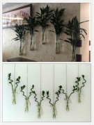 创意壁挂富贵竹玻璃花瓶，水培植物挂墙上悬挂插花家居装饰透明圆柱