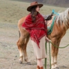 民族风披肩两用女针织斗篷毛衣红色保暖围巾新疆青海旅行披风外套