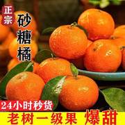正宗广西砂糖橘新鲜水果，橘子10斤当季整箱无籽，金秋砂糖桔小柑橘